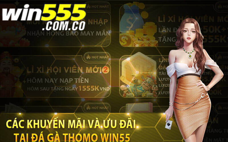 Đá gà Win55