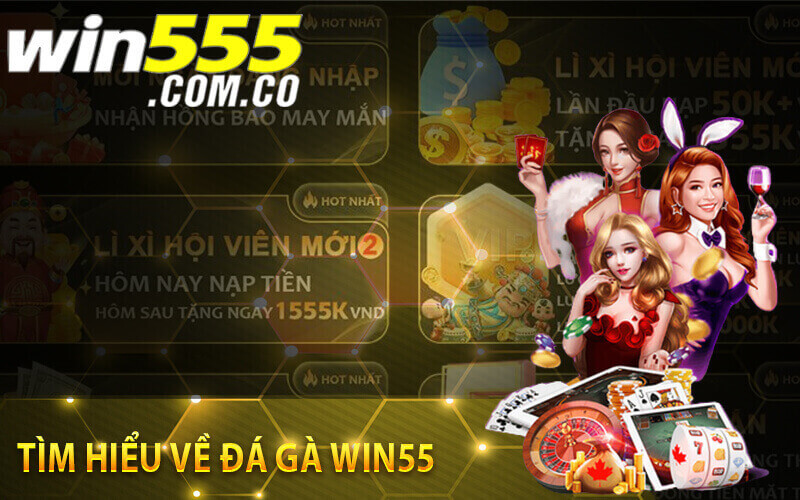 Đá gà Win55